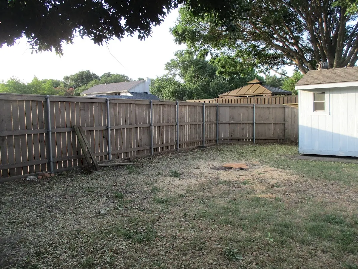 Cleared yard after professional tree removal in Kapowsin